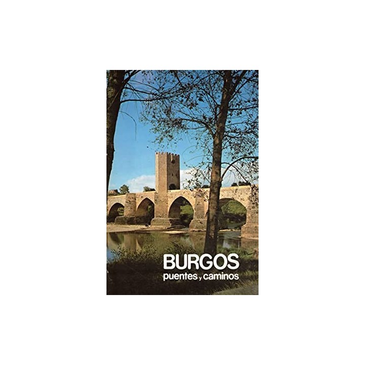 Burgos. Puentes y caminos